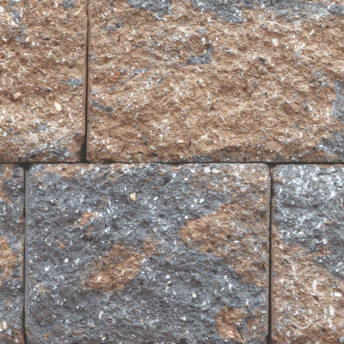 EP Henry Coventry III Wall 6 in. Single Face Corner Dakota Blend 14