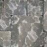 Bella Vista Stone Paver Square Pewter Classic 6 in. x 6 in. x 2-3/8 in. (112 sq. ft./pallet)