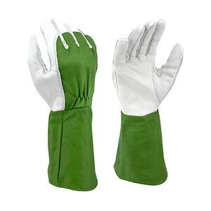 Thorn Resistant Glove Large