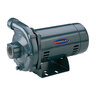 Pentair Berkeley Medium Head Centrifugal Pump 1-1/2 HP