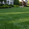 Best Fertilizer 23-3-6 60% Uflexx 4.2%Fe 50 lb.