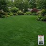 Best NitraKing Fertilizer 21-2-4 2%Fe 50 lb.