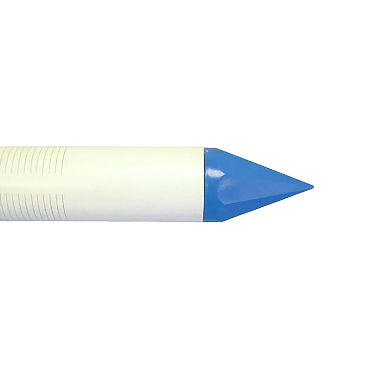 Big Foot Well Point PVC Sch 40 2 in. x 48 in | SiteOne US