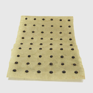 BioBarrier Root & Weed Control Barrier 12 in. x 21 ft.