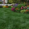 BioPlex Bio Basic 12-3-5 Seaweed Humates Ornamental and Turfgrass Granular Fertilizer 50 lb. Bag