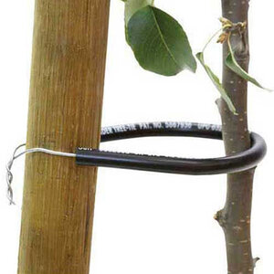 Wonder Tree Tie 14 in. Small