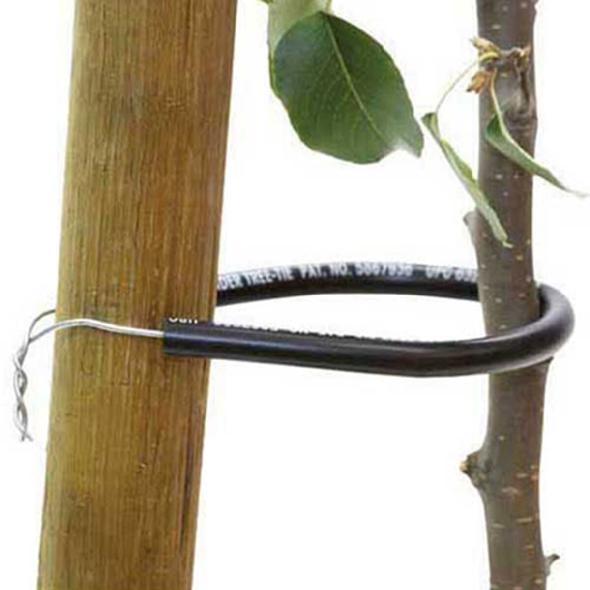 Wonder Tree Tie 14 in. Small | SiteOne US