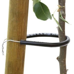 Tree Tie Black 24 in.