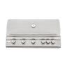 Blaze 40 in. 5-Burner LTE Grill with Rear Burner and Built-in Lighting System Natural Gas