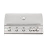 Blaze 40 in. 5-Burner LTE Grill with Rear Burner and Built-in Lighting System Natural Gas