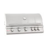 Blaze 40 in. 5-Burner LTE Grill with Rear Burner and Built-in Lighting System Natural Gas