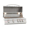Blaze 32 in. 4-Burner LTE Grill with Rear Burner and Built-in Lighting System Natural Gas