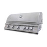 Blaze 40 in. 5-Burner Premium LTE+ Grill with Rear Burner and Built-in Lighting System Liquid Propane