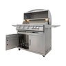 Blaze 40 in. 5-Burner Premium LTE+ Grill with Rear Burner and Built-in Lighting System Liquid Propane