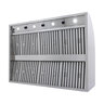 Blaze 48 in. Stainless Steel Outdoor Vent Hood - 2000 CFM