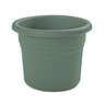 Bloem Posy Basil Planter 10 in. (12/case)