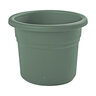 Bloem Posy Basil Planter 16 in. (8/case)