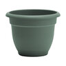 Bloem Ariana Basil Planter 20 in. (6/case)