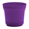 Bloem Saturn Royal Lilac Planter 12 in. (6/case)