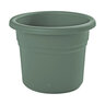 Bloem Posy Basil Planter 12 in. (12/case)