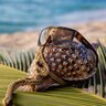 Bomber Buzz Bomb Safety Glasses Shiny Tortoise Frame Brown Polarized Safety Lens