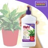 Bonide Eight Insect Control 1 qt. (NY only)