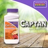Bonide Captan Fruit & Ornamental Fungicide WP 8 oz.