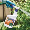 Bonide Infuse Lawn & Landscape RTS 1 qt.