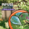 Bonide Infuse Lawn & Landscape RTS 1 qt.