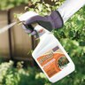 Bonide Revitalize Bio Fungicide 32 oz. RTU