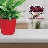 Bonide Mite x House Plant 12 oz.