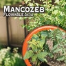 Bonide Mancozeb Flowable w/ Zinc Concenctrate 16 oz.