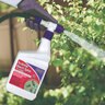 Bonide Systemic Insect Spray RTS 1 qt.