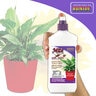 Bonide Mite x House Plant 12 oz.