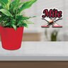 Bonide Mite x House Plant 12 oz.