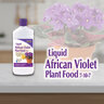 Bonide Liquid African Violet Food 7-10-7 8 oz.