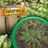 Bonide Weed Beater Plus Crabgrass & Broadleaf Killer RTS 1 qt.