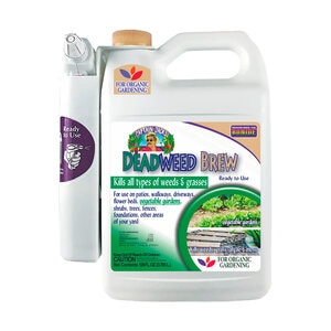 Bonide Captain Jack's Deadweed Brew Pistol RTU 1 gal.