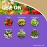 Bonide Bon-Neem II Fungicide-Miticide-Insecticide RTU 1 qt.