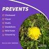 Bonide Bon-Neem II Fungicide-Miticide-Insecticide RTU 1 qt.
