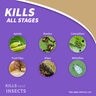 Bonide Bon-Neem II Fungicide-Miticide-Insecticide RTU 1 qt.