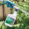 Bonide Liquid Weed-N-Feed 20-0-0 RTS 1 qt.