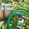 Bonide Liquid Weed-N-Feed 20-0-0 RTS 1 qt.