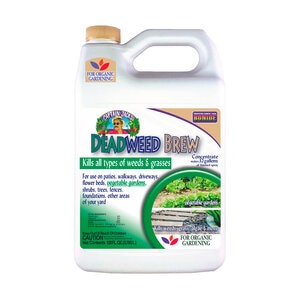 Bonide Captain Jack's Deadweed Brew Concentrate 1 gal.