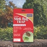 Bonide Bug Beater Stink Bug Trap 
