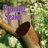 Bonide Prune Sealer 14 oz.