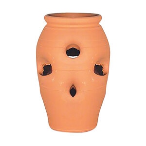 Pot Strawberry Jar Terracotta 5 gal. 10 in. x 16 in.