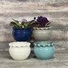 Pot Round Pie Rim Self-Watering Assorted Colors 6-1/4 in. x 4-1/2 in.