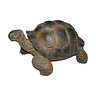 Statue Giant Tortoise Brown 27 in. x 19-1/4 in. x 14-1/4 in.