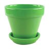Pot Standard w/ Saucer Lime 6-1/4 in. x 6 in. 